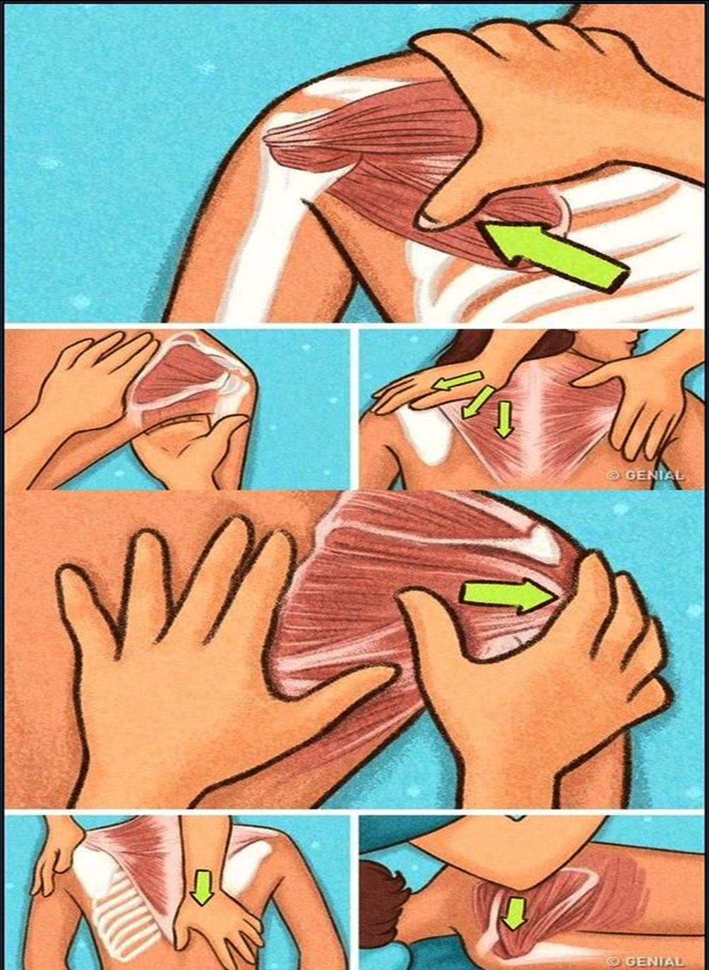 مساج Massage