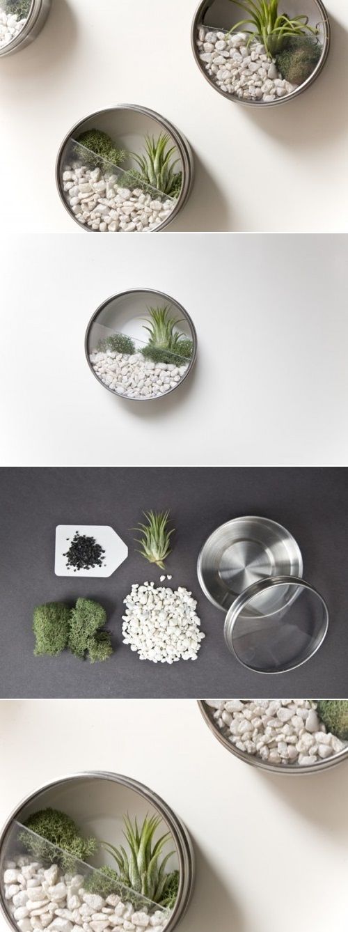 تصميم أحواض النباتات
